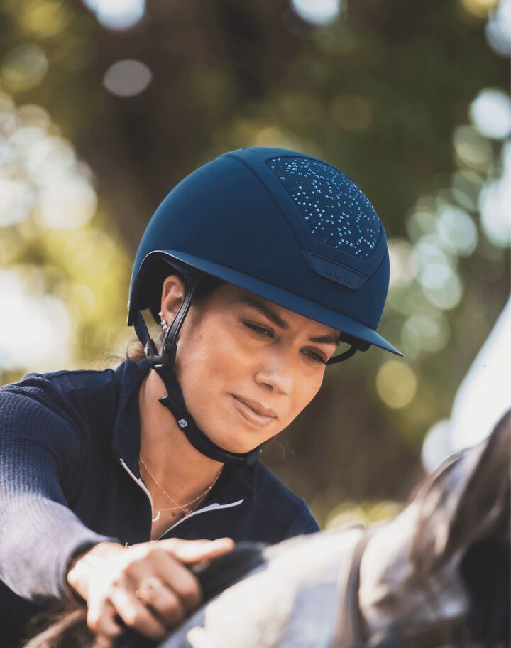 ANIMA II Chapter Collection - Vibe